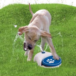 CoolPets Splash Water Fountain Water Fun för hunden